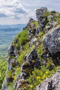 Vapenna'dan görünüm - Rostun tepesi, Küçük Karpatlar, Slovakya