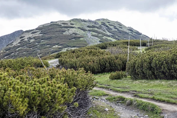 Großer krivan peak, kleine fatra, slowakei — Stockfoto