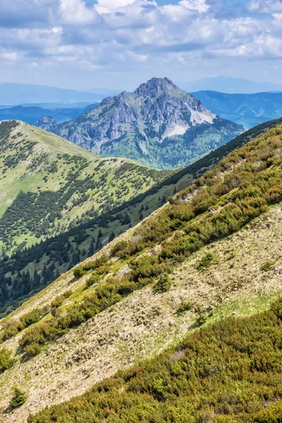 Velký Rozsutec, malý Fatra, Slovensko — Stock fotografie