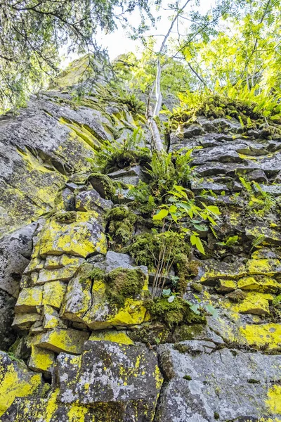 苔のある岩、Hrbの丘、ヴェポール山脈、ポラナ、スロバキア — ストック写真