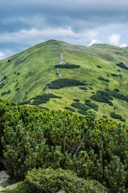 Prasiva peak'ten görünüm, Low Tatras, Slovakya