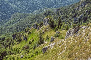 Ostra peak'ten görünüm, Big Fatra, Slovakya