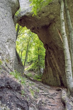 Dragon Hole, Sulov kayaları, Slovakya, yürüyüş teması