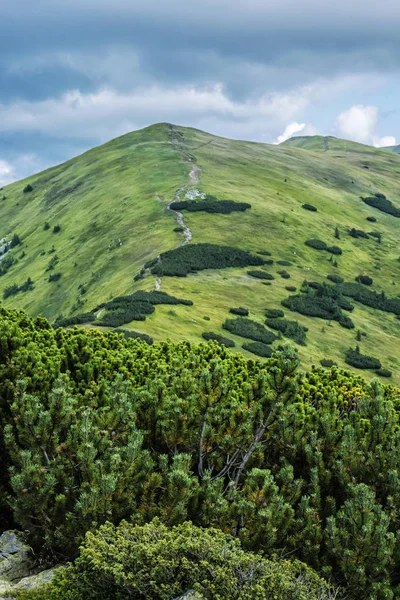 Prasiva peak'ten görünüm, Low Tatras, Slovakya