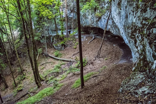 Grotta di Big Fatra, Slovacchia — Foto Stock