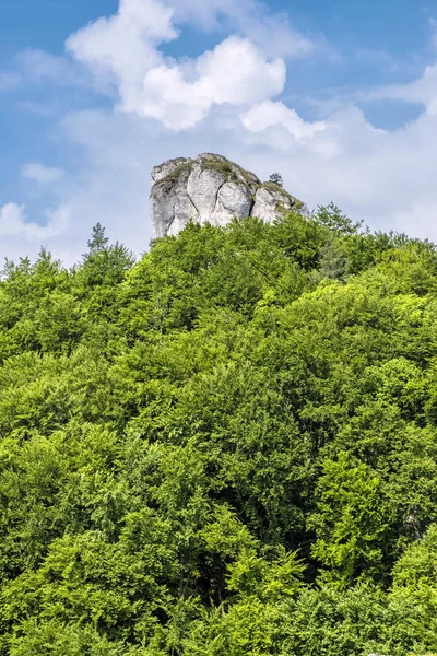 ブラダの丘、スロフ岩、スロバキア、ハイキングのテーマ — ストック写真