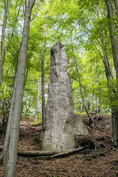 Sulov kayalar, Slovakya, yürüyüş teması — Stok fotoğraf