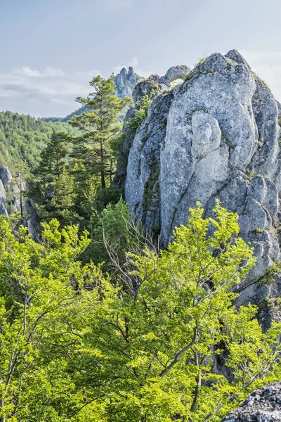 Sulov rocks, Slovakia, hiking theme — Stock Photo, Image