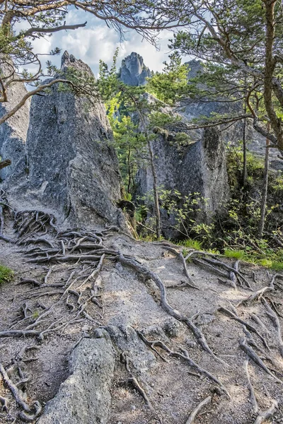 Sulov rocks, Slovakia, hiking theme — Stock Photo, Image