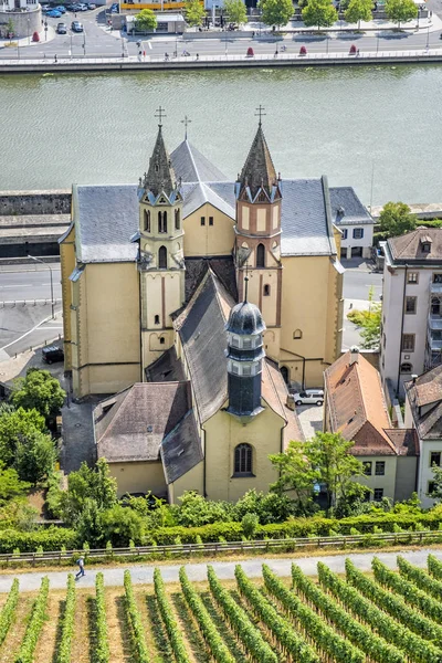 Sint-Burkard-katholieke kerk en wijngaard, Wurzburg, Beieren, G — Stockfoto