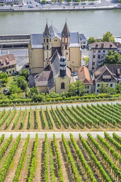 Saint Burkard Iglesia Católica y viñedo, Wurzburg, Baviera, G —  Fotos de Stock