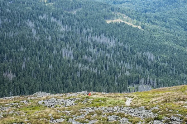 Caminhante e floresta, Babia hora colina Eslováquia — Fotografia de Stock