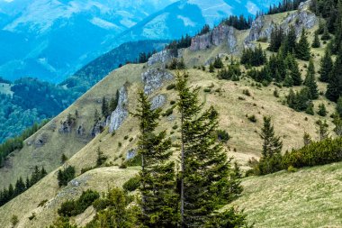 Salatin tepesinden Uplazy taşları, Low Tatras dağları, Slovak cumhuriyeti. Seyahat güzergahı. Yürüyüş teması.