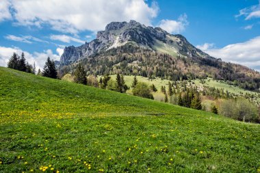 Stoh 'tan Büyük Rozsutec Tepesi, Küçük Fatra, Slovak Cumhuriyeti. İlkbahar sahnesi. Doğada güzellik. 