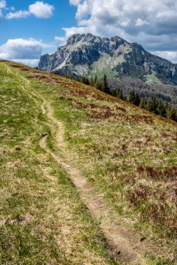 Osnica 'dan Büyük Rozsutec Tepesi, Küçük Fatra, Slovak Cumhuriyeti. İlkbahar sahnesi. Doğada güzellik. Kırmızı yaban mersini çalıları.