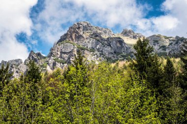 Büyük Rozsutec Tepesi, Küçük Fatra, Slovak Cumhuriyeti. İlkbahar sahnesi. Doğada güzellik.