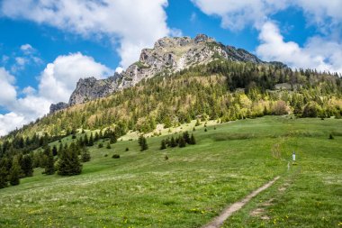 Büyük Rozsutec Tepesi, Küçük Fatra, Slovak Cumhuriyeti. İlkbahar sahnesi. Doğada güzellik.