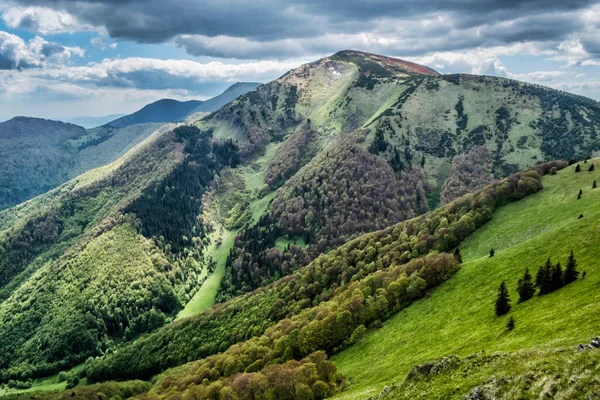 Osnica Dan Stoh Hill Küçük Fatra Slovak Cumhuriyeti Lkbahar Sahnesi — Stok fotoğraf