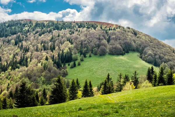 Osnica Hill Little Fatra Slovak Republic Springtime Scene Beauty Nature — Stock Photo, Image