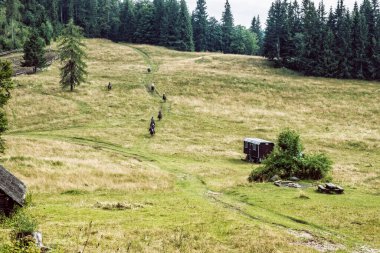 At süren adamlar, Muran ovası, Slovakya Cumhuriyeti, Avrupa. Seyahat güzergahı. Mevsimsel doğal sahne.