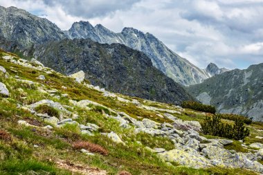Yüksek Tatras dağlarının manzarası, Slovakya Cumhuriyeti. Yürüyüş teması. Seyahat hedefi.