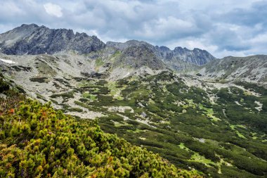 Yüksek Tatras dağlarının manzarası, Slovakya Cumhuriyeti. Yürüyüş teması. Seyahat hedefi.