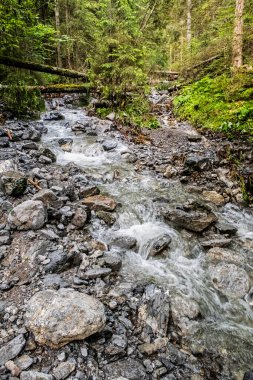 Slovak Cumhuriyeti 'nin Low Tatras dağlarındaki Demanovska vadisindeki su akıntısı. Yürüyüş teması. Mevsimsel doğal sahne.