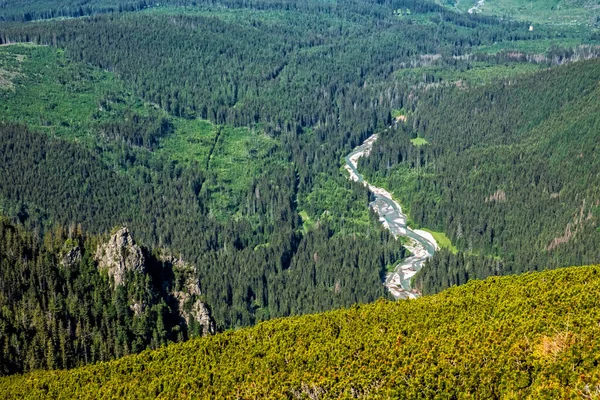 Rivière Montagne Hautes Tatras Montagnes République Slovaque Scène Naturelle Saisonnière — Photo