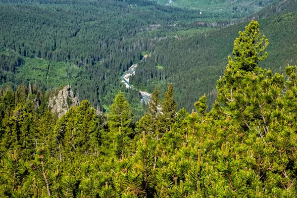 Rivière Montagne Hautes Tatras Montagnes République Slovaque Scène Naturelle Saisonnière — Photo