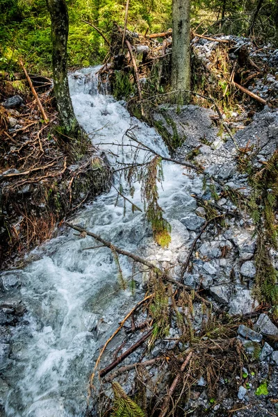 Fluxo Água Vale Demanovska Nas Montanhas Low Tatras República Eslovaca — Fotografia de Stock