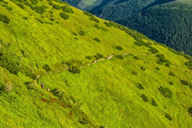 Batı Tatras 'taki turizm gezileri, Slovak cumhuriyeti. Yürüyüş teması. Mevsimsel doğal sahne.