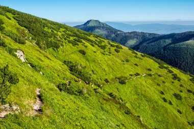 Batı Tatras 'taki turizm gezileri, Slovak cumhuriyeti. Yürüyüş teması. Mevsimsel doğal sahne.
