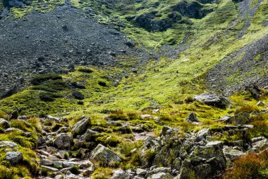Sad Valley, Batı Tatras, Slovakya Cumhuriyeti. Yürüyüş teması. Mevsimsel doğal sahne.