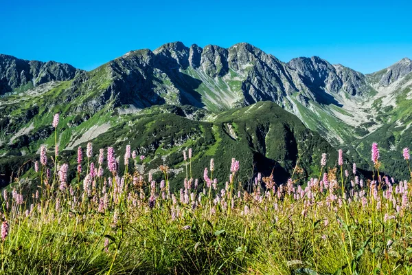 Western Tatras Scenery Saddle Zabrat Slovak Republic Hiking Theme Seasonal — Stock Photo, Image