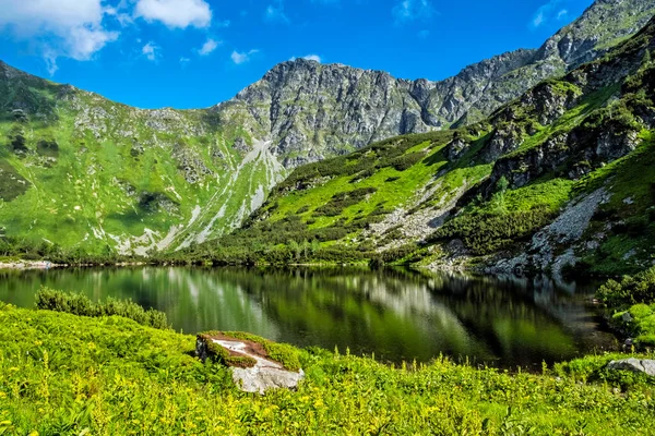 Rohac Tarn Western Tatras Slovak Republic Тема Походу Сезонна Природна — стокове фото