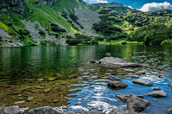 Rohac Tarn Tatras Occidental República Eslovaca Tema Senderismo Escena Natural — Foto de Stock