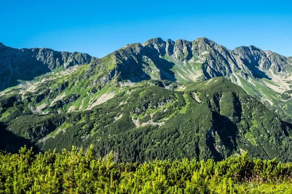 Tatry Zachodnie Siodła Zabrat Republika Słowacka Temat Wędrówki Sezonowa Scena — Zdjęcie stockowe