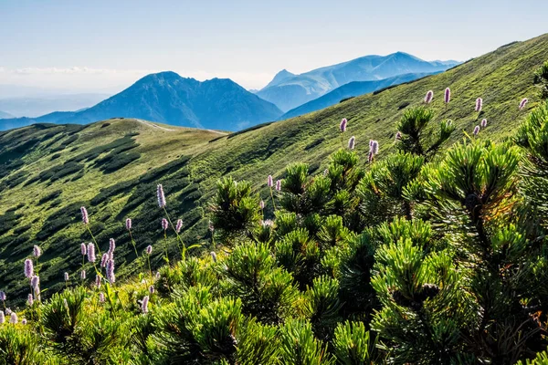 Western Tatras Scenery Saddle Zabrat Slovak Republic Hiking Theme Seasonal — Stock Photo, Image