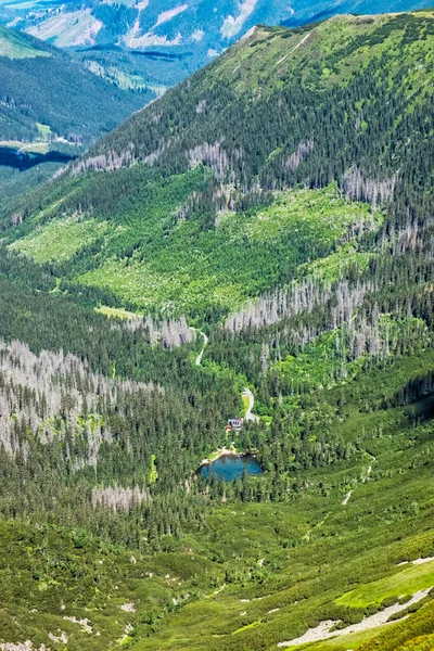 Paysage Des Tatras Occidentales Avec Lac Montagne République Slovaque Thème — Photo