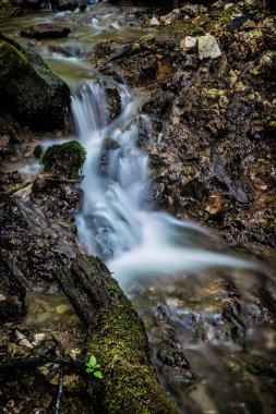 Su akıntısı, Yılan Vadisi, Kremnica tepeleri, Slovakya Cumhuriyeti. Uzun süre maruz kalmışsın. Ayrıntılı doğal fotoğraf.
