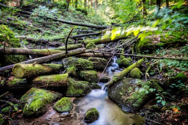Su akıntısı, Yılan Vadisi, Kremnica tepeleri, Slovakya Cumhuriyeti. Uzun süre maruz kalmışsın. Ayrıntılı doğal fotoğraf.