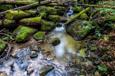 Su akıntısı, Yılan Vadisi, Kremnica tepeleri, Slovakya Cumhuriyeti. Uzun süre maruz kalmışsın. Ayrıntılı doğal fotoğraf.