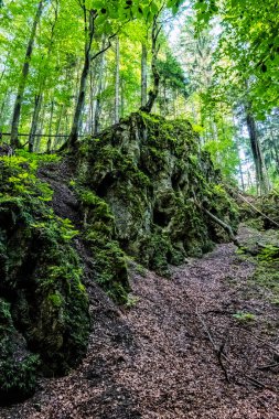 Yılan Vadisi, Kremnica tepeleri, Slovakya Cumhuriyeti. Mevsimsel doğal sahne.