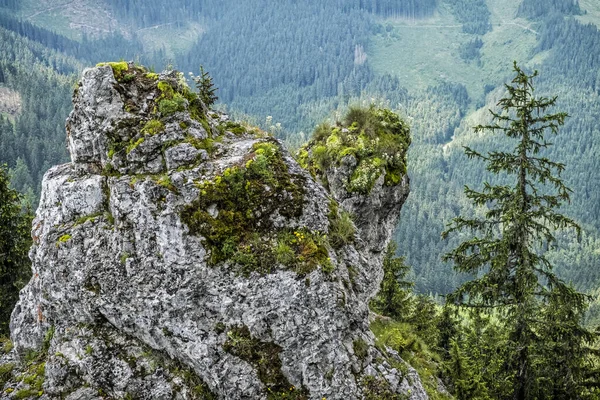 Cena Rock Sina Peak Demanovska Valley Low Tatras República Eslovaca — Fotografia de Stock