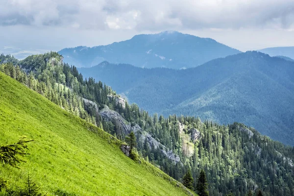 从斯洛伐克共和国下塔特拉山Demanovska山谷新浪峰看风景 远足的主题 季节性的自然景观 — 图库照片