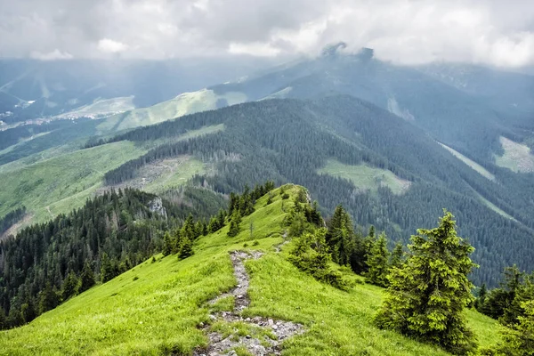 Utsikt Från Sina Topp Demanovska Dalen Låg Tatrabergen Slovakien Vandringstema — Stockfoto