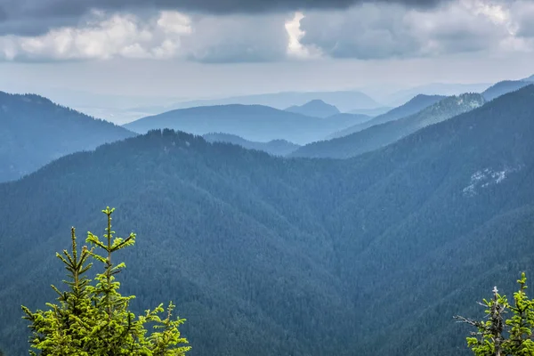 Slovak Cumhuriyeti, Sina Peak 'ten alçak Tatras manzarası. Yürüyüş teması. Mevsimsel doğal sahne.