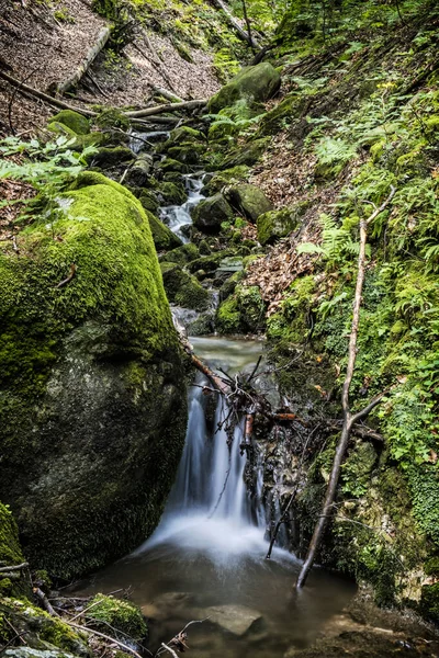 Corrente Água Snake Valley Kremnica Hills República Eslovaca Exposição Longa — Fotografia de Stock