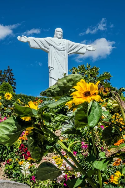 Статуя Иисуса Христа Рио Клин Оравская Область Словацкая Республика Культовая — стоковое фото