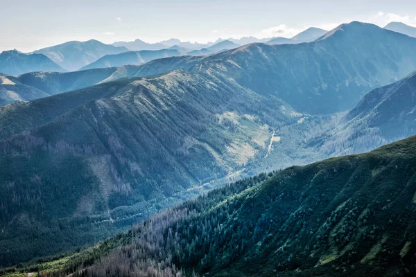 Κοιλάδα Rohac Δυτική Tatras Σλοβακική Δημοκρατία Θέμα Πεζοπορίας Εποχιακή Φυσική — Φωτογραφία Αρχείου